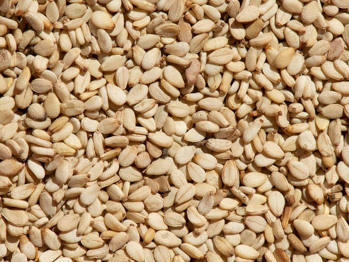 Toasted sesame seeds in a small bowl
