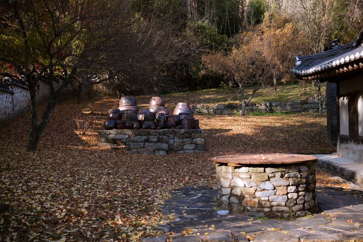 Traditional Korean onggi jars arranged on a stone platform in an autumn courtyard