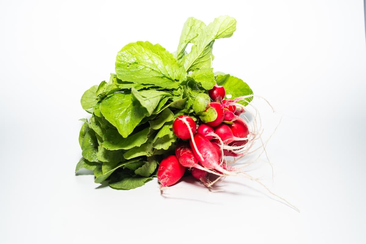 A bunch of small radishes with leafy green tops attached