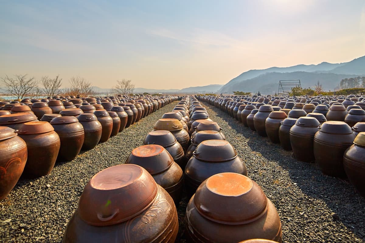 Rows of traditional Korean clay fermentation jars stretching toward the horizon