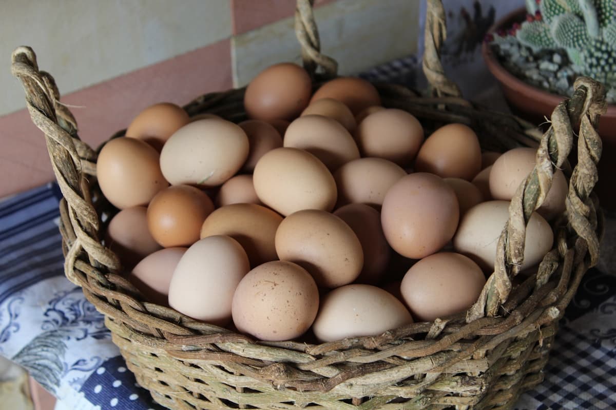 A woven basket filled with fresh brown eggs