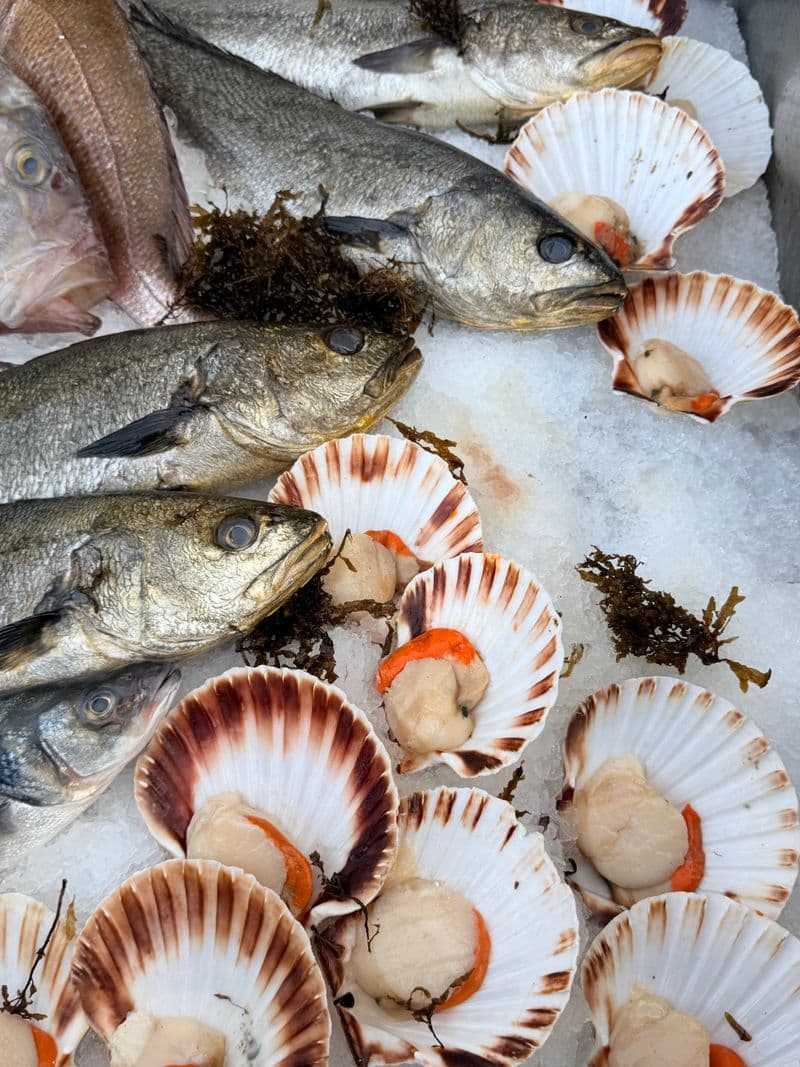 Fresh fish and scallops displayed on ice at a market