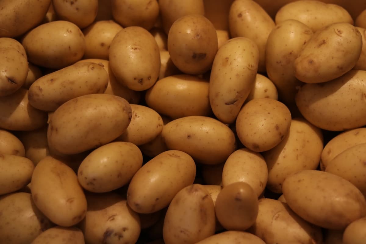 A pile of raw potatoes
