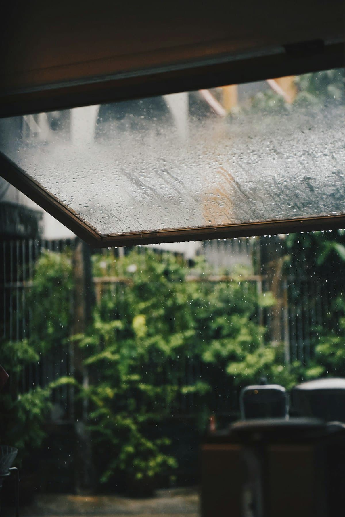 Rain falling outside a window onto green plants