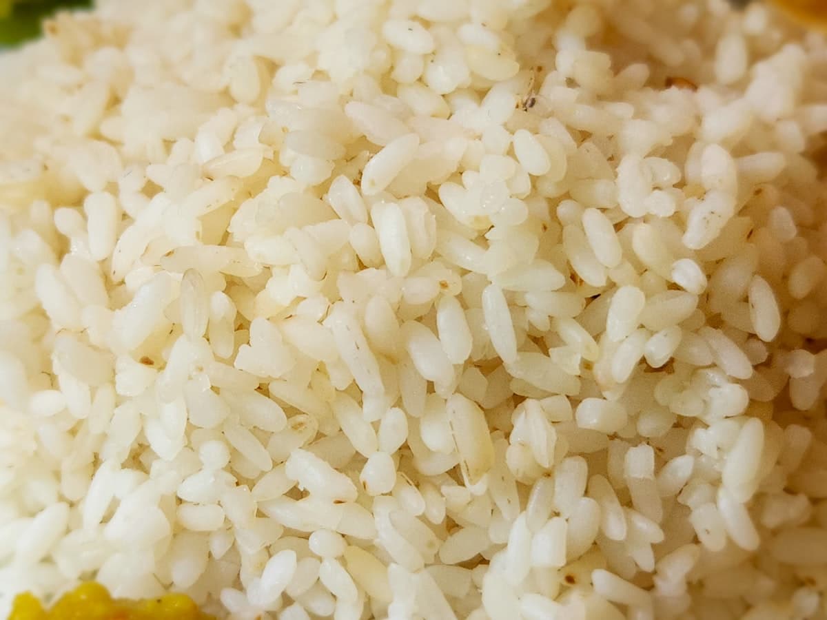 A close-up pile of plain cooked white rice