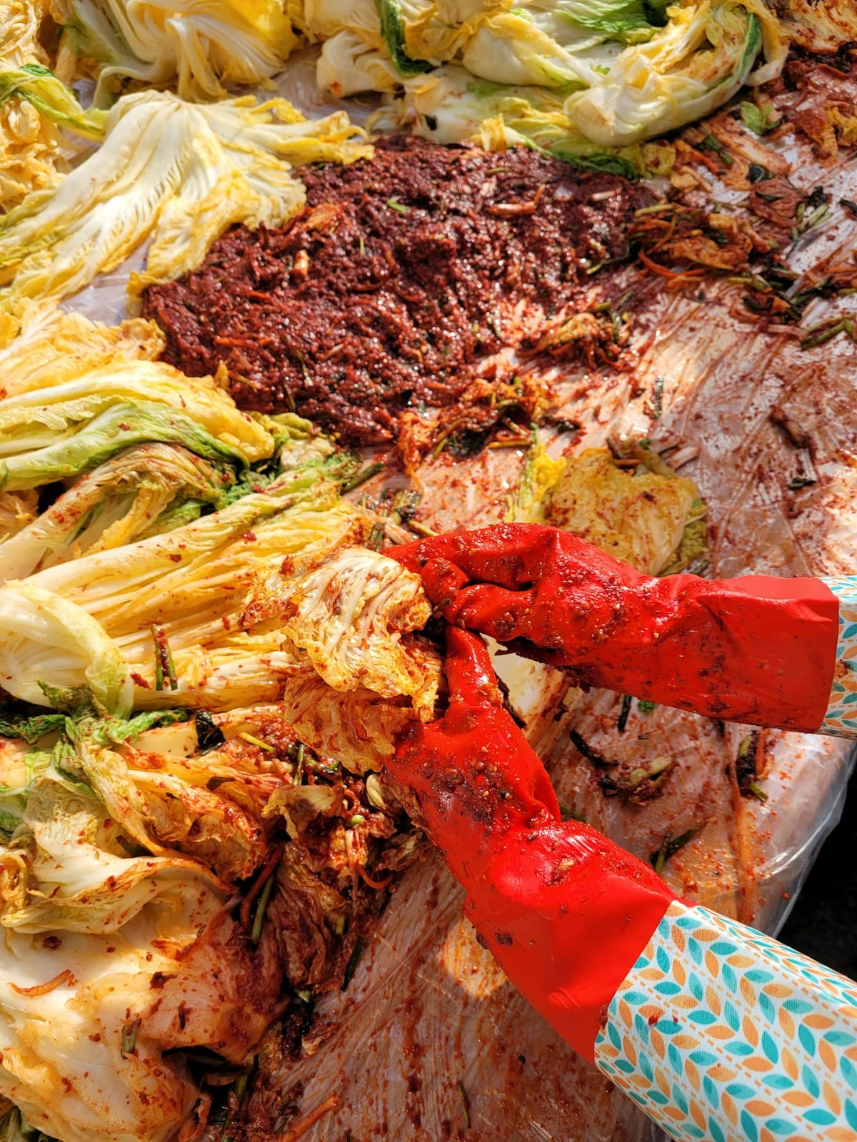 Hands in red gloves massaging chili paste into napa cabbage at kimjang scale