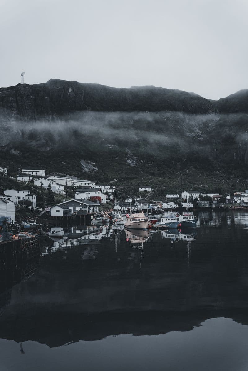 A quiet fishing harbor with boats moored near a mountainside village