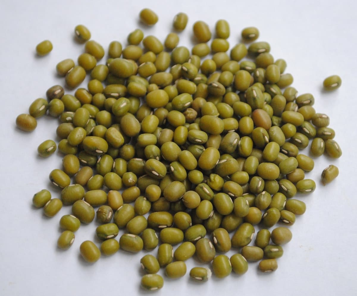 A pile of dried mung beans