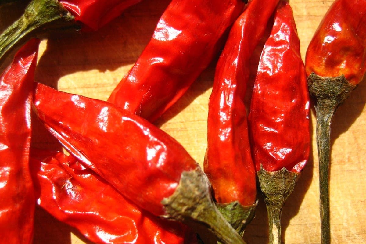 Fresh red chili peppers