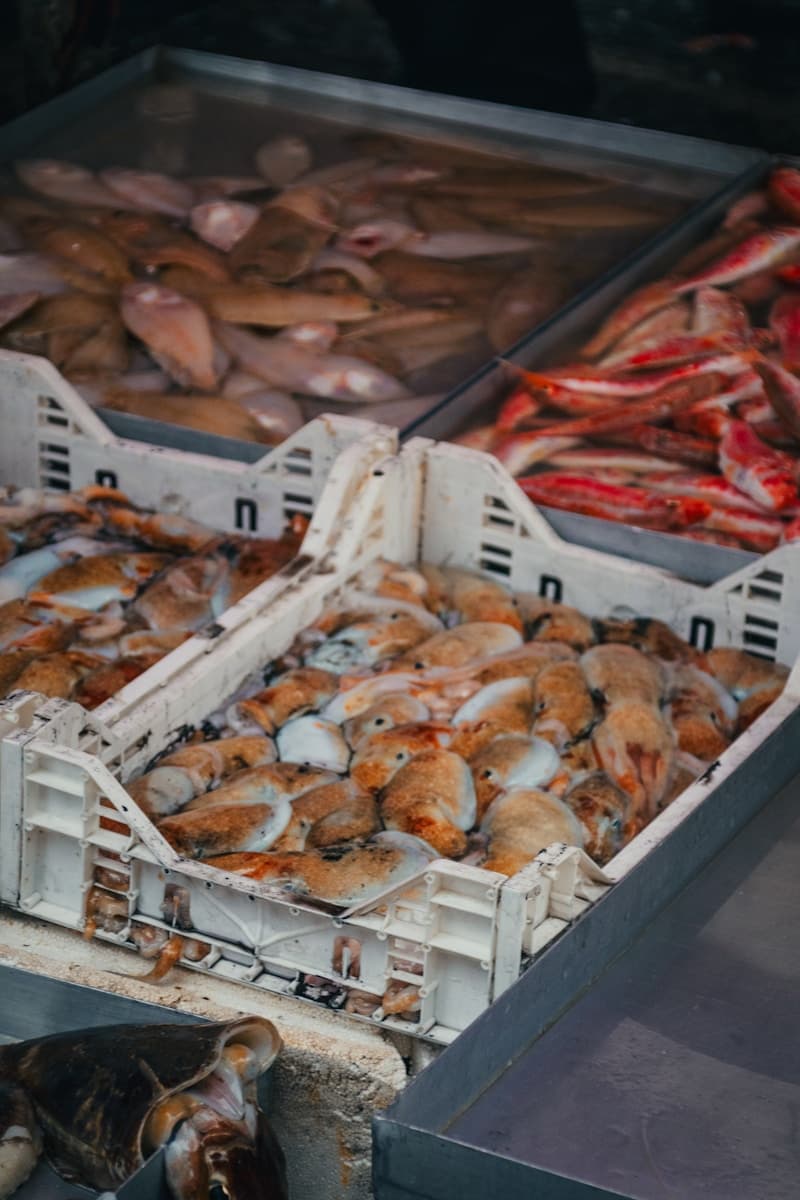 Crates of fresh whole fish and squid at a seafood market