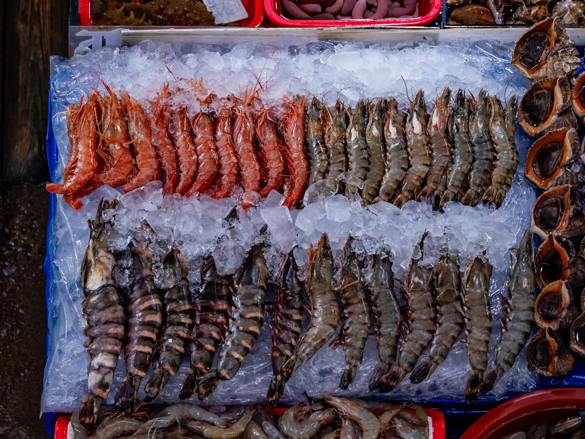 Fresh shrimp and shellfish laid out on ice at a seafood market