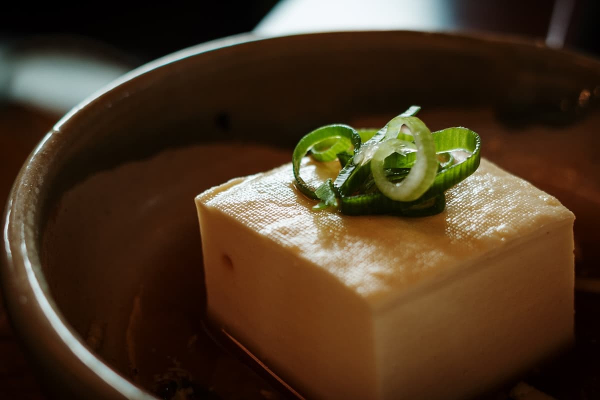 A block of soft tofu topped with sliced green onion