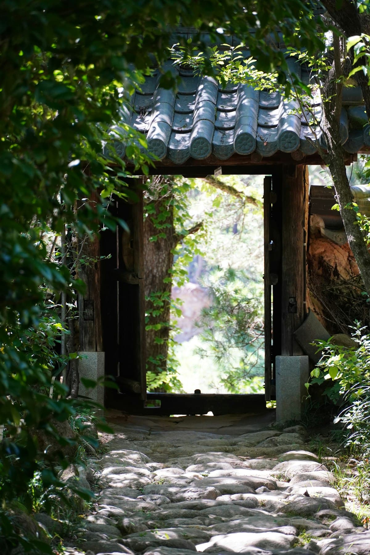 A traditional Korean wooden gate opening onto a quiet courtyard path