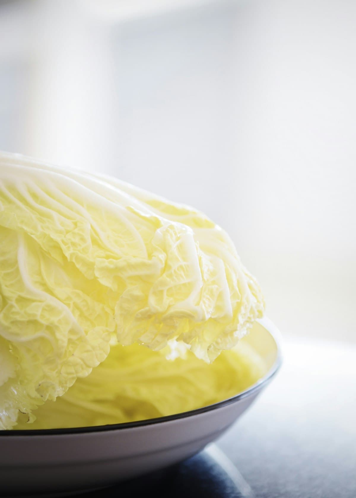 Pale, uncolored napa cabbage leaves ready for non-spicy kimchi