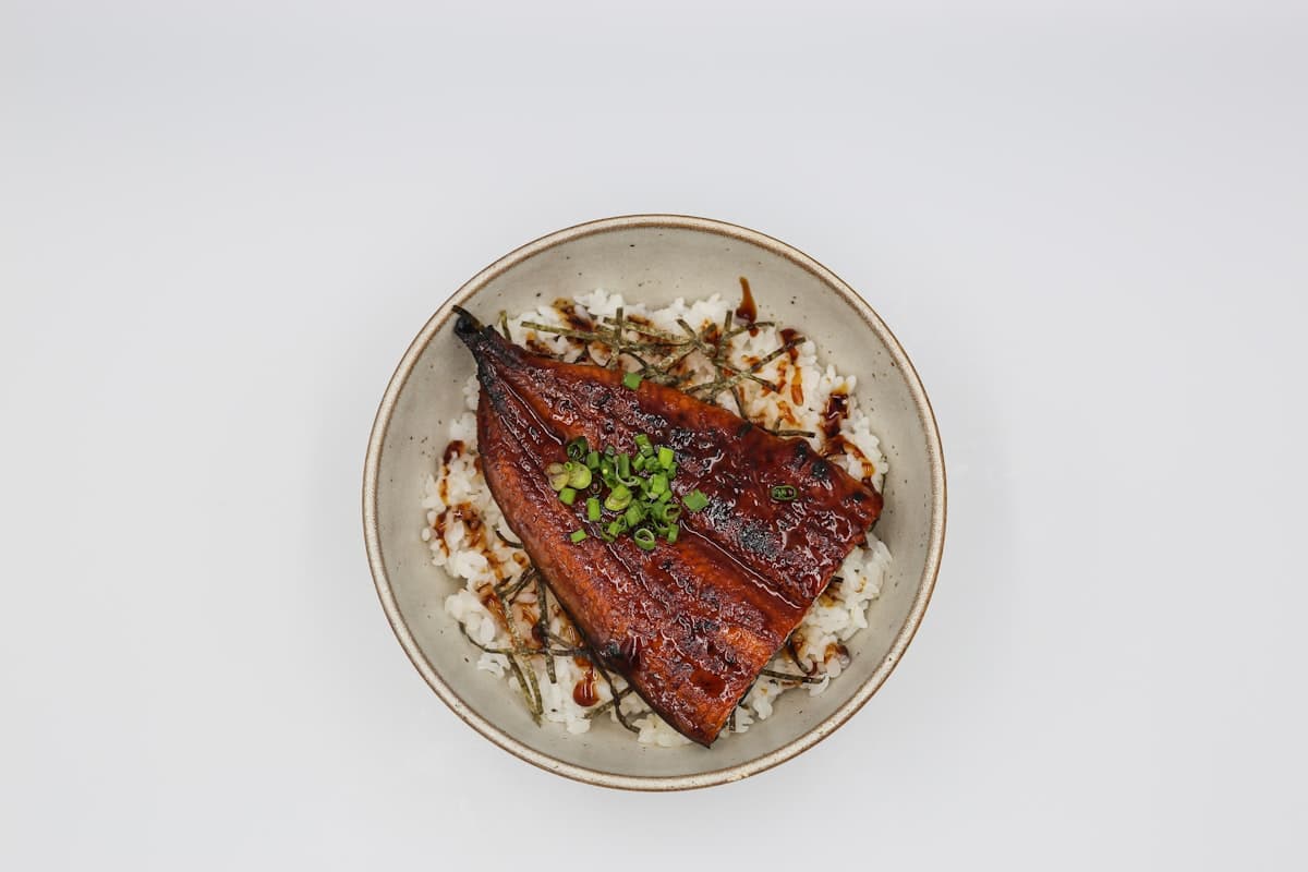 Glazed grilled eel fillet served over rice with green onion
