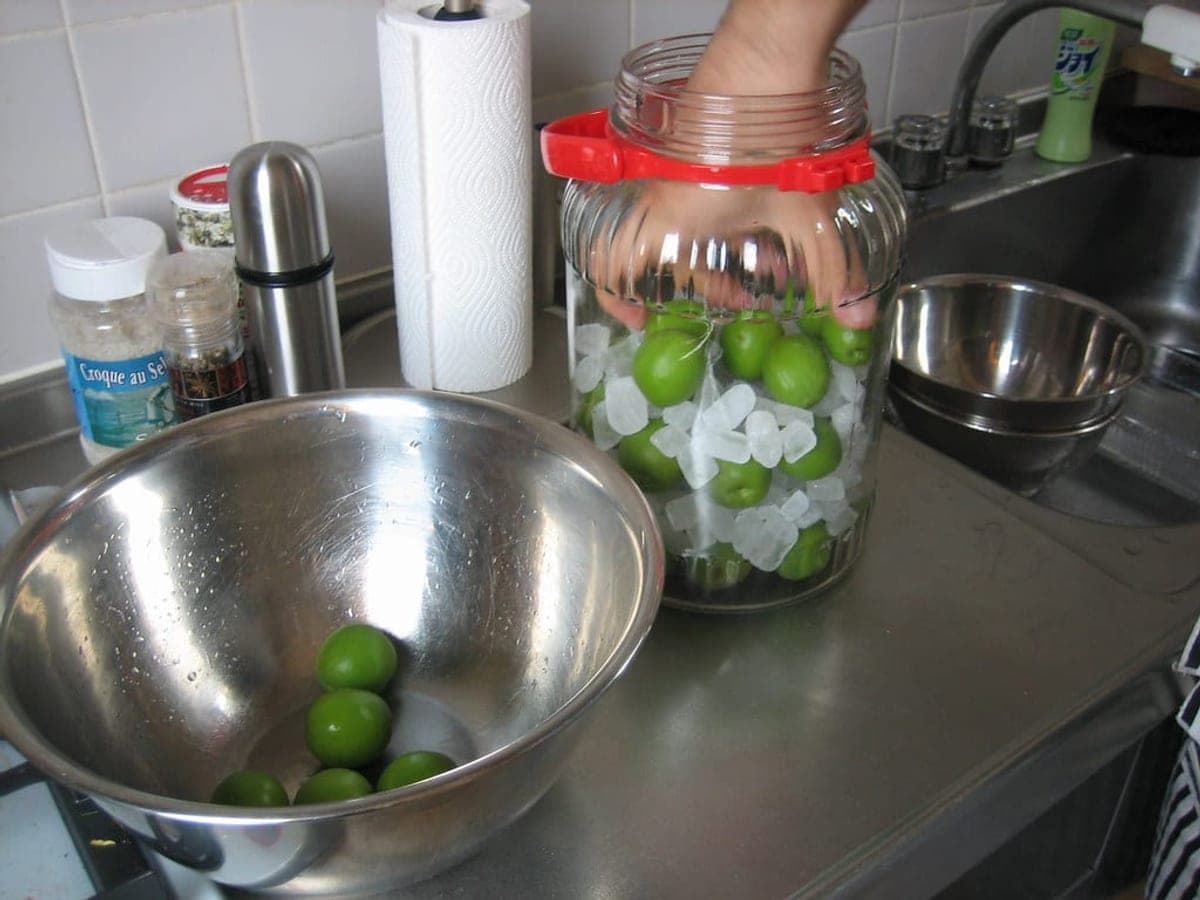 Jars of green plum syrup with fresh plums