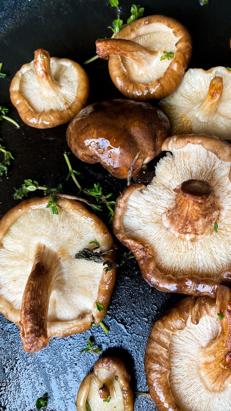 Glossy pan-seared shiitake mushroom caps with herbs
