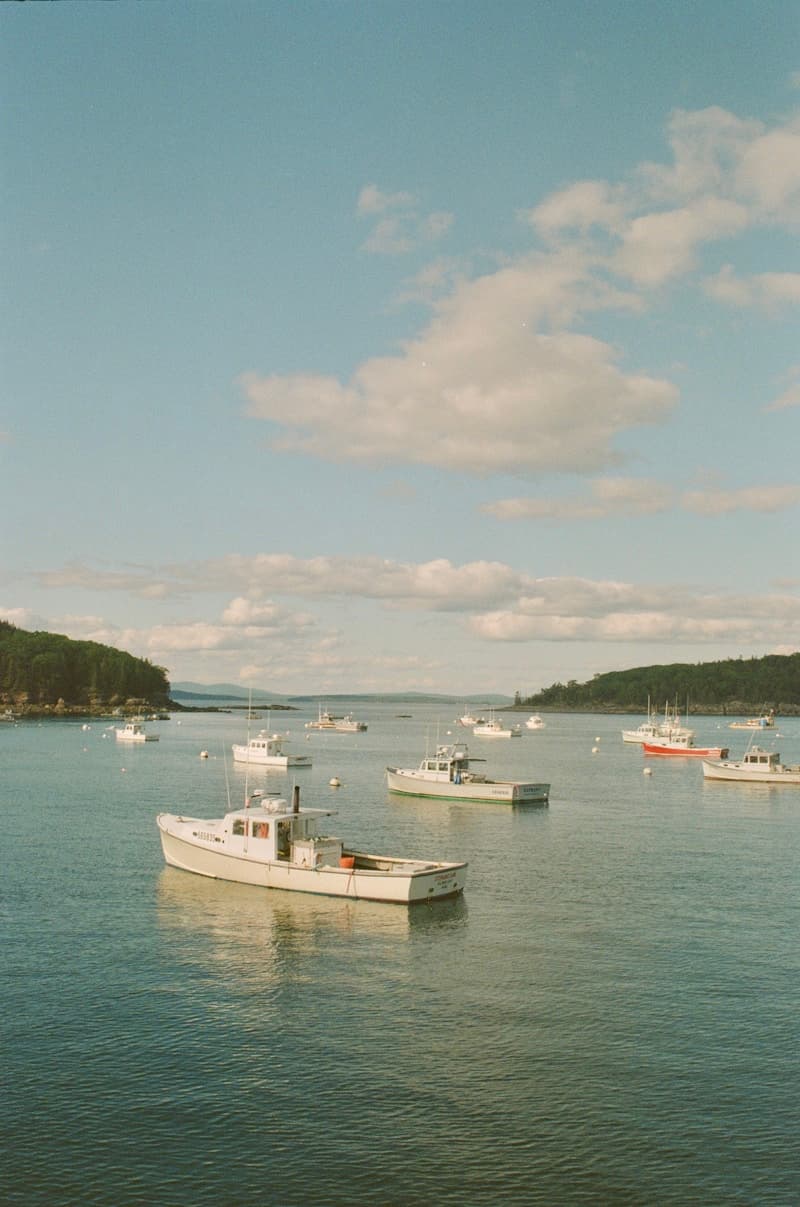 Small fishing boats moored in a calm coastal harbor