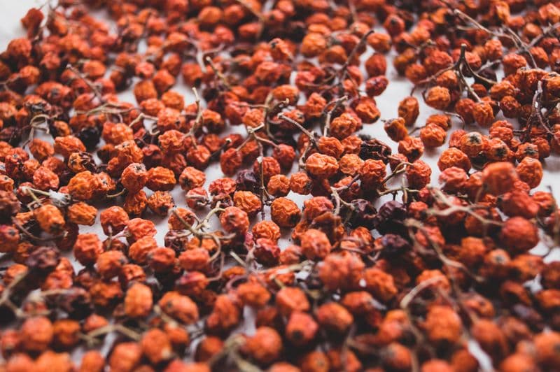 A dense scattering of small dried red berries