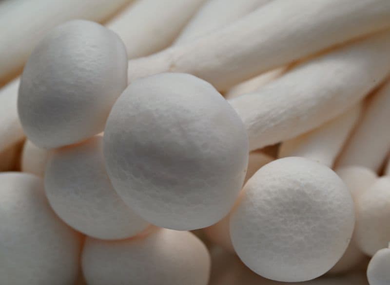 A close-up cluster of pale enoki mushroom caps