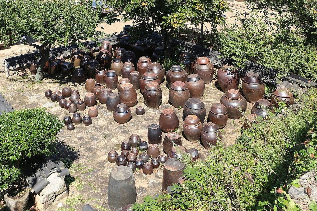 A courtyard filled with dozens of dark earthenware fermentation jars