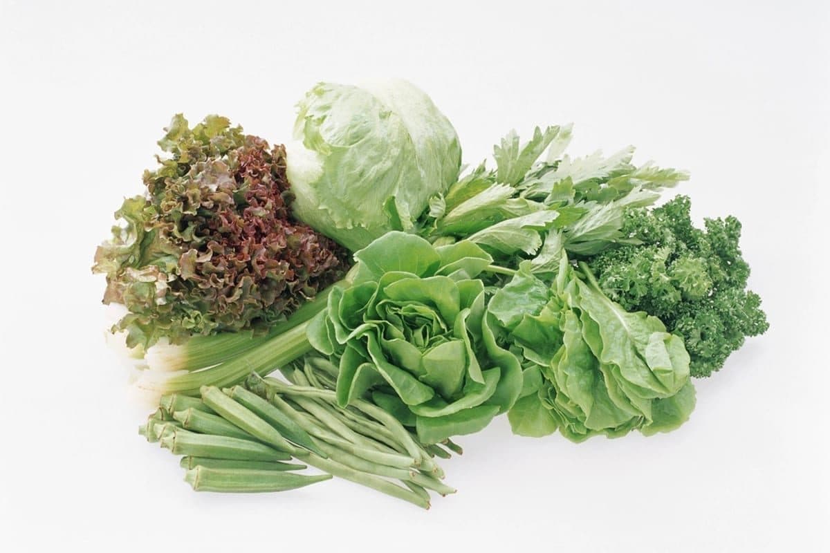 A basket of fresh lettuce leaves