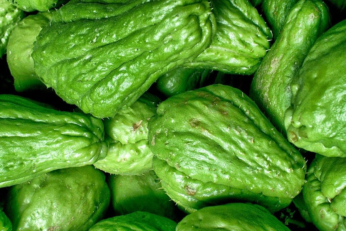 Fresh cucumbers and crisp raw vegetables