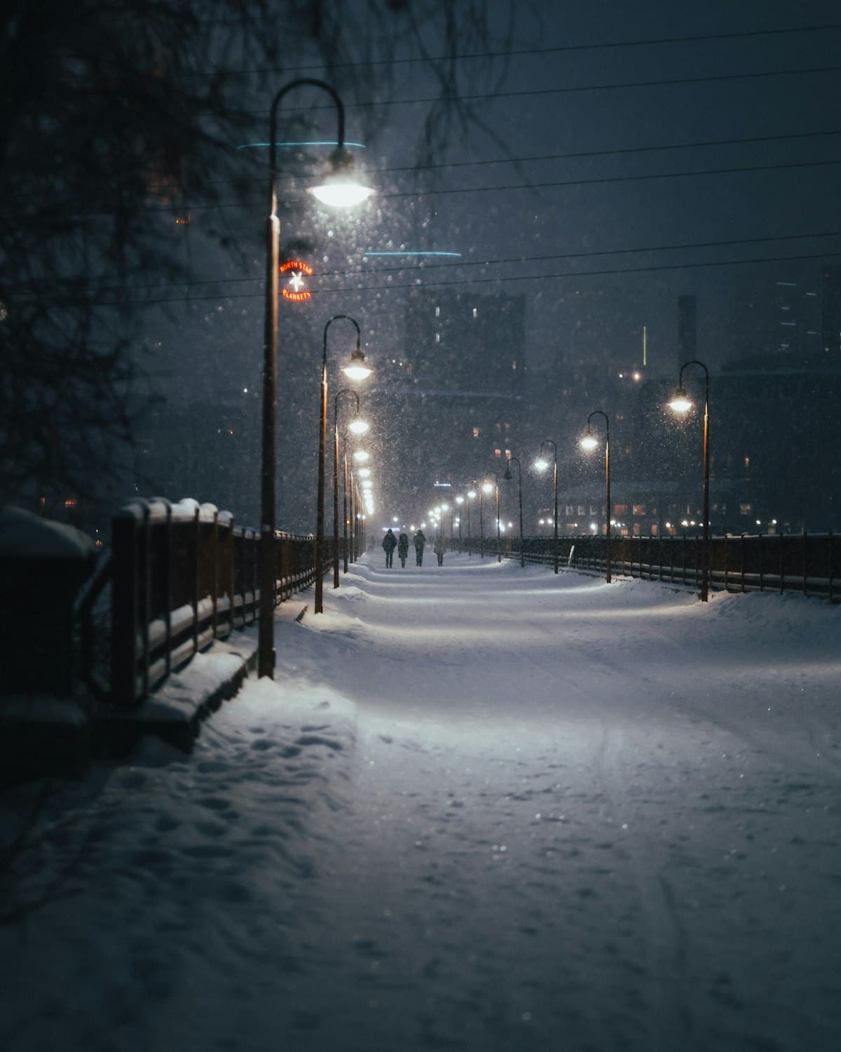 A snowy path lit by street lamps at night