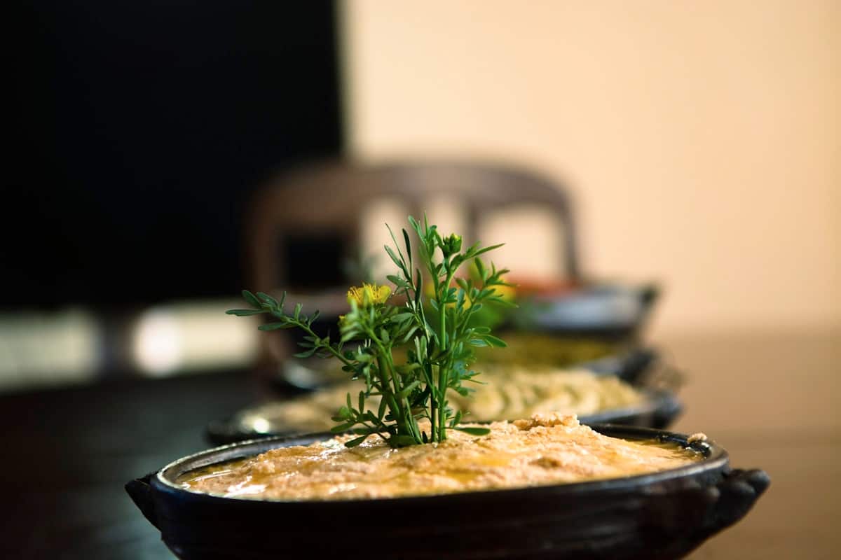 A chunky brown fermented soybean paste dish garnished with a fresh herb sprig