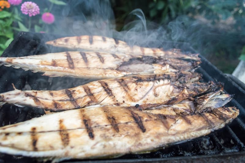 Whole grilled mackerel fillets with charred skin on a grill