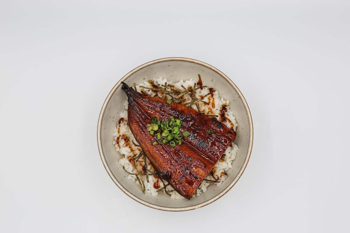 Glazed grilled eel fillet served over rice with green onion