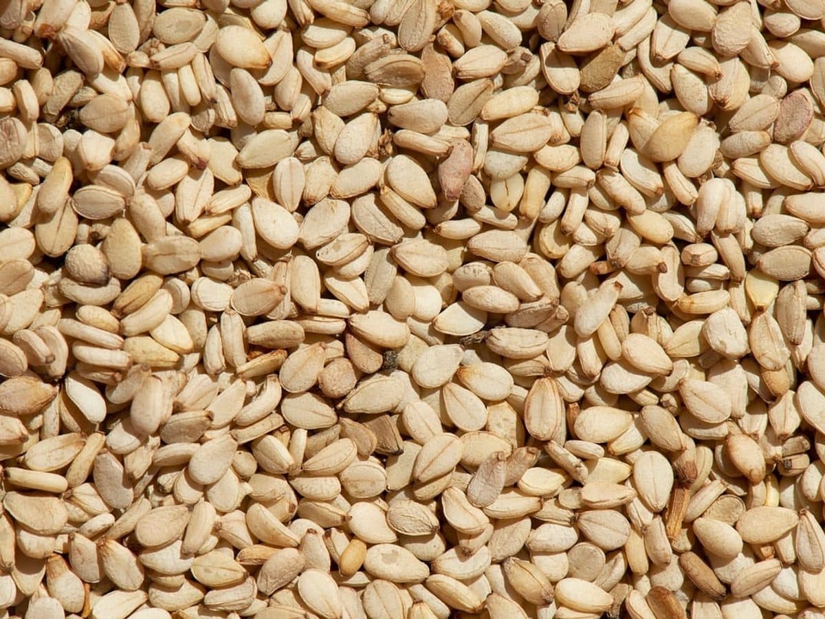 Toasted sesame seeds in a small bowl