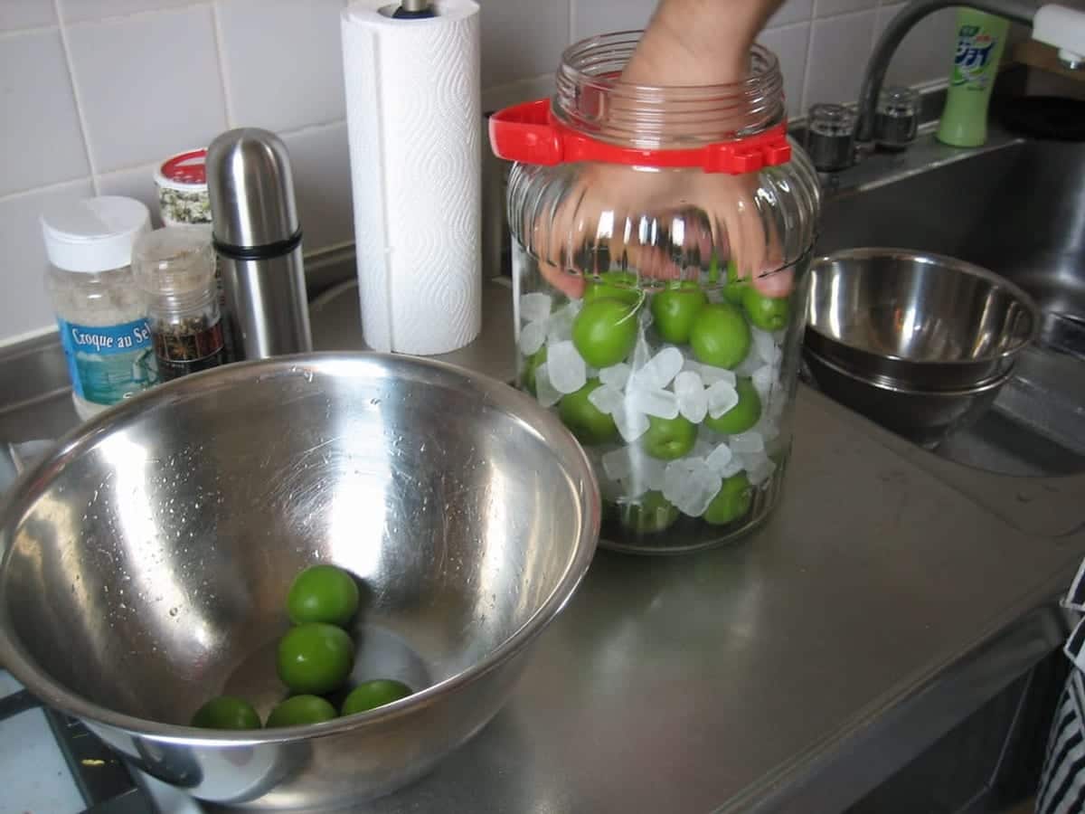 Jars of green plum syrup with fresh plums