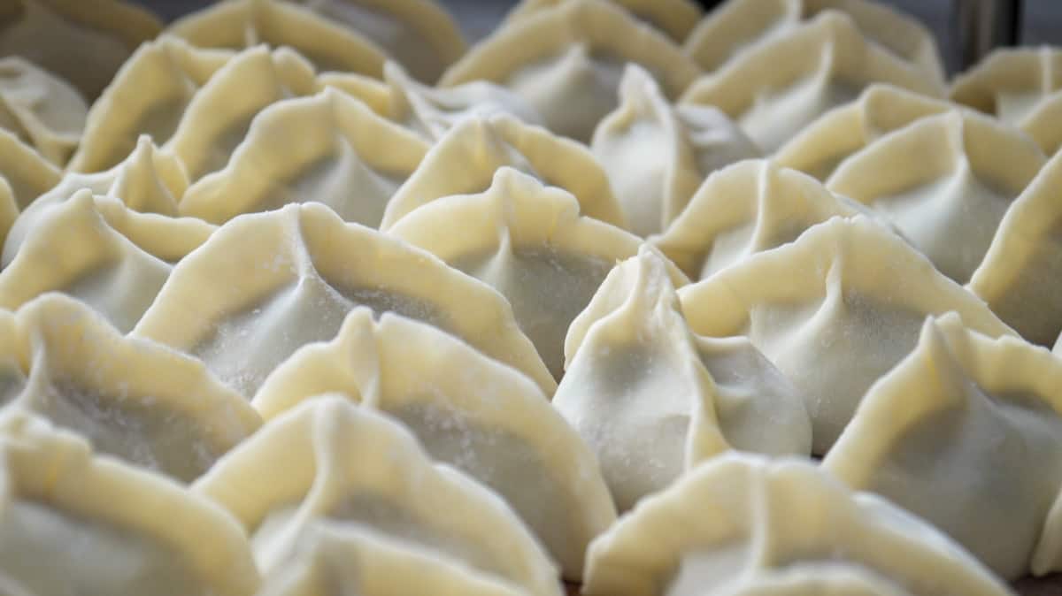 Raw pleated Korean dumplings arranged in rows