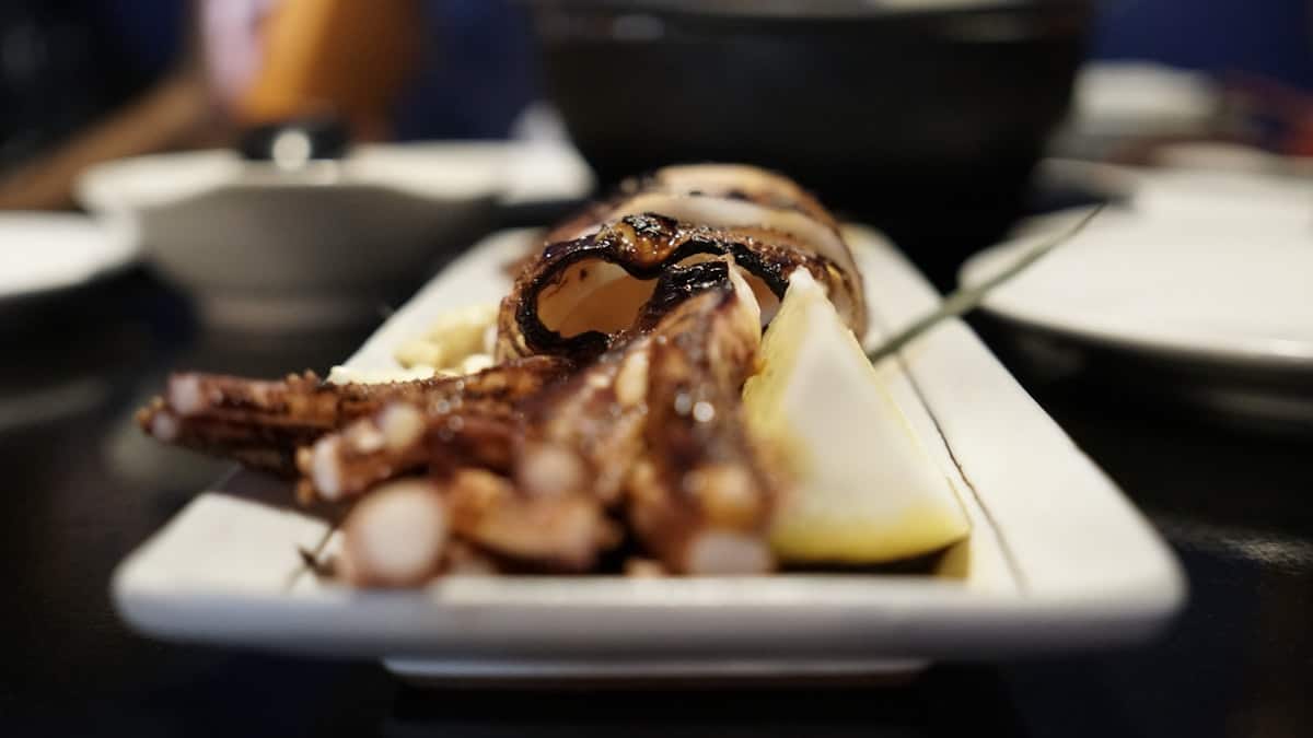 Grilled squid pieces with charred grill marks on a plate