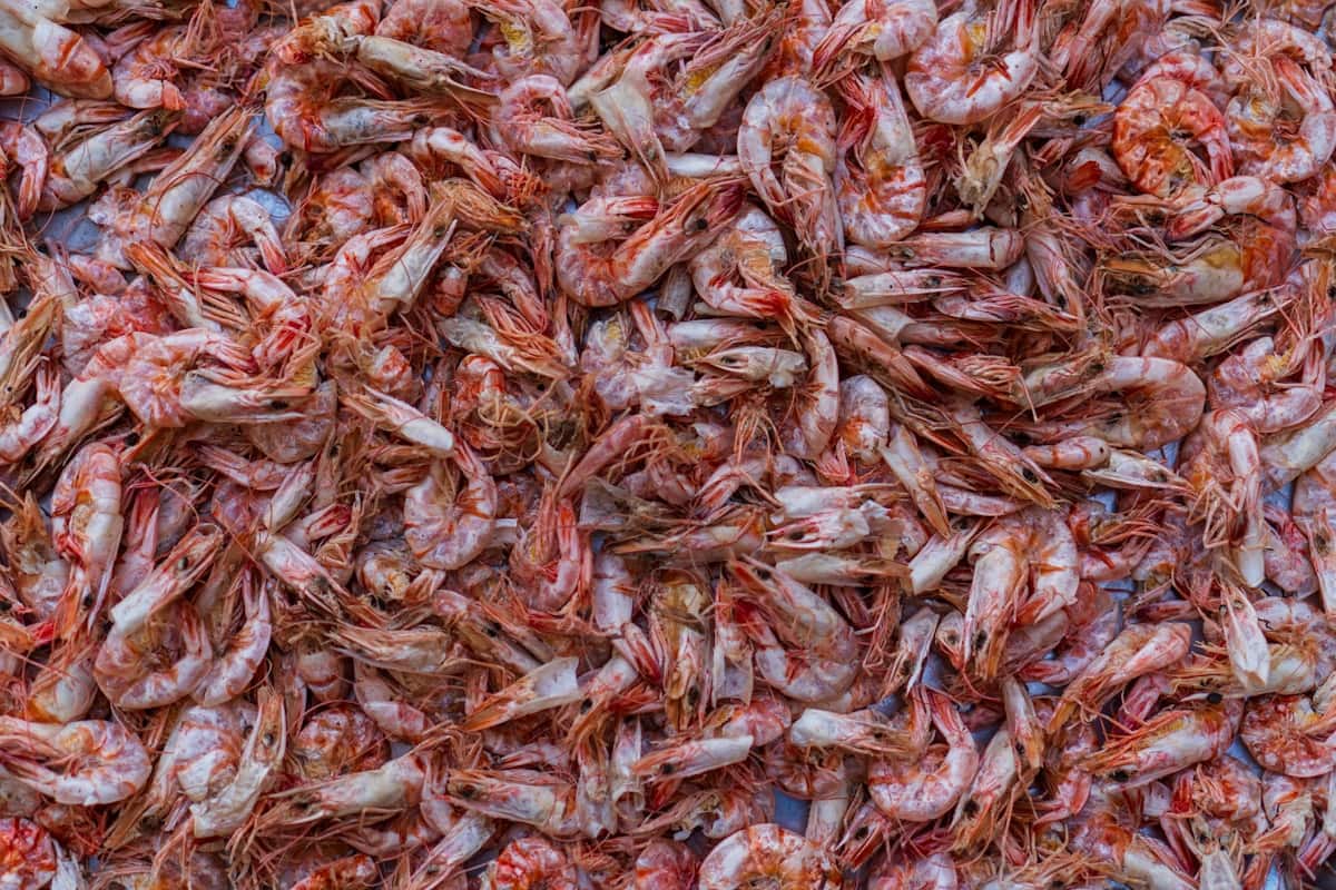 A pile of small dried shrimp